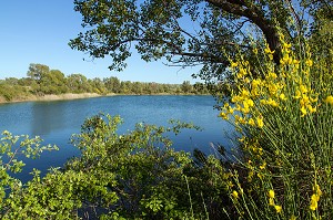 PLAN D'EAU DES SEPT LACS, BEAUMONT-DE-PERTUIS, PARC NATUREL REGIONAL DU LUBERON, VAUCLUSE (84), FRANCE 