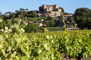 VIGNES (VIN DU LUBERON) DEVANT LE VILLAGE ET LE CHATEAU DE MIRABEAU, PARC NATUREL REGIONAL DU LUBERON, VAUCLUSE (84), FRANCE 