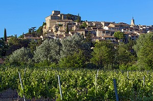 VIGNE DEVANT LE VILLAGE ET CHATEAU D'ANSOUIS, PARC NATUREL REGIONAL DU LUBERON, VAUCLUSE (84), FRANCE 