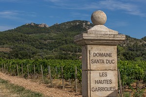 DOMAINE VITICOLE SANTA DUC, LES HAUTES GARRIGUES, VIGNOBLE DE GIGONDAS AU PIED DES DENTELLES DE MONTMIRAIL, VAUCLUSE (84), FRANCE 