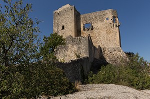 CHATEAU DES COMTES DE TOULOUSE BATI EN 1195 AU SOMMET D'UN ROCHER, VAISON LA ROMAINE, VAUCLUSE (84), FRANCE 