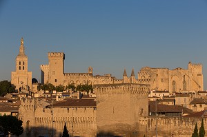 CLOCHER DE LA CATHEDRALE NOTRE DAME DES DOMS, PALAIS DES PAPES ET REMPARTS, VILLE D'AVIGNON APPELEE CITE DES PAPES ET CLASSEE AU PATRIMOINE MONDIAL DE L'UNESCO, VAUCLUSE (84), FRANCE 