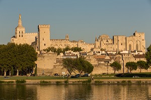 CLOCHER DE LA CATHEDRALE NOTRE DAME DES DOMS, PALAIS DES PAPES ET REMPARTS AU BORD DU PETIT RHONE, VILLE D'AVIGNON APPELEE CITE DES PAPES ET CLASSEE AU PATRIMOINE MONDIAL DE L'UNESCO, VAUCLUSE (84), FRANCE 