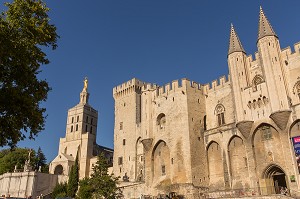 PALAIS DES PAPES, VILLE D'AVIGNON APPELEE CITE DES PAPES, VAUCLUSE (84), FRANCE 