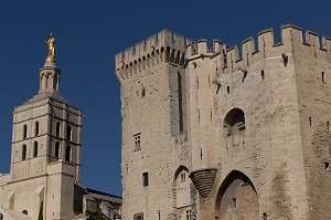 CATHEDRALE NOTRE DAME DES DOMS D'AVIGNON, VILLE D'AVIGNON APPELEE CITE DES PAPES, VAUCLUSE (84), FRANCE 