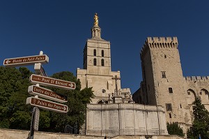 CATHEDRALE NOTRE DAME DES DOMS D'AVIGNON, VILLE D'AVIGNON APPELEE CITE DES PAPES, VAUCLUSE (84), FRANCE 