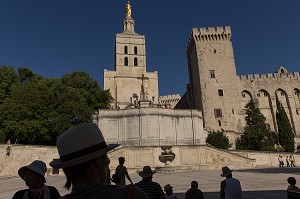 CATHEDRALE NOTRE DAME DES DOMS D'AVIGNON, VILLE D'AVIGNON APPELEE CITE DES PAPES, VAUCLUSE (84), FRANCE 