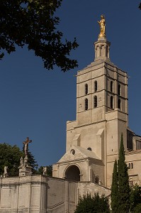 CATHEDRALE NOTRE DAME DES DOMS D'AVIGNON, VILLE D'AVIGNON APPELEE CITE DES PAPES, VAUCLUSE (84), FRANCE 