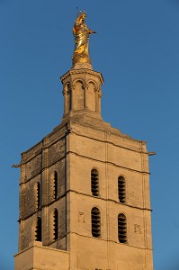 CATHEDRALE NOTRE DAME DES DOMS D'AVIGNON, VILLE D'AVIGNON APPELEE CITE DES PAPES, VAUCLUSE (84), FRANCE 