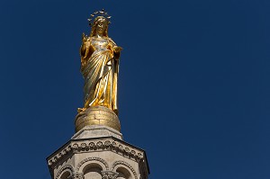 CATHEDRALE NOTRE DAME DES DOMS D'AVIGNON, VILLE D'AVIGNON APPELEE CITE DES PAPES, VAUCLUSE (84), FRANCE 