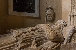 CATHEDRALE NOTRE DAME DES DOMS D'AVIGNON, VILLE D'AVIGNON APPELEE CITE DES PAPES, VAUCLUSE (84), FRANCE 