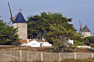 LES MOULINS DE BARBATRE, ILE DE NOIRMOUTIER, VENDEE (85), FRANCE 