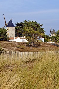 LES MOULINS DE BARBATRE, ILE DE NOIRMOUTIER, VENDEE (85), FRANCE 