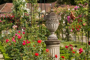 PARC DE LA ROSERAIE DU VAL DE MARNE, FONDE EN 1894 PAR JULES GRAVEREAUX, LE JARDIN EST ENTIEREMENT CONSACRE A LA ROSE, L'HAY LES ROSES, VAL-DE-MARNE (94), ILE-DE-FRANCE, FRANCE 