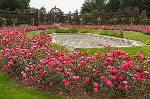 PARC DE LA ROSERAIE DU VAL DE MARNE, FONDE EN 1894 PAR JULES GRAVEREAUX, LE JARDIN EST ENTIEREMENT CONSACRE A LA ROSE, L'HAY LES ROSES, VAL-DE-MARNE (94), ILE-DE-FRANCE, FRANCE 