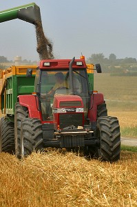 MOISSON D'AVOINE, TRACTEUR, BENNE, MOISSONNEUSE-BATTEUSE, ORNE (61) 