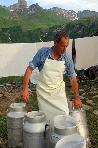 FABRICATION D'UNE MEULE DE FROMAGE DE BEAUFORT D'ALPAGE D'ETE, BEAUFORTAIN, SAVOIE (73) 