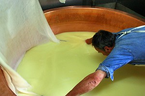 FABRICATION D'UNE MEULE DE FROMAGE DE BEAUFORT D'ALPAGE D'ETE, BEAUFORTAIN, SAVOIE (73) 