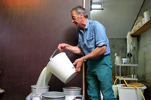 FABRICATION DU FROMAGE BEAUFORT D'ALPAGE, BEAUFORTIN 