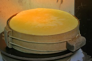 FABRICATION D'UNE MEULE DE FROMAGE DE BEAUFORT D'ALPAGE D'ETE, BEAUFORTAIN, SAVOIE (73) 