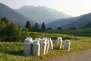 COLLECTE DU LAIT EN ALPAGE, BEAUFORTIN 