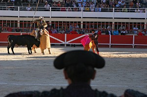 CORRIDA DE TOROS, TAUREAU DE COMBAT CROISES CAMARGUE - ESPAGNOL, ARENE DE SAINT GILLES, MISE A MORT, TOREADOR, GARD (30) 