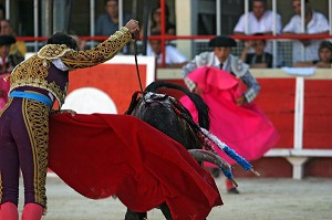 CORRIDA DE TOROS, TAUREAU DE COMBAT CROISES CAMARGUE - ESPAGNOL, ARENE DE SAINT GILLES, MISE A MORT, TOREADOR, GARD (30) 