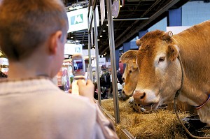 ENFANT PHOTOGRAPHIANT AVEC SON TELEPHONE PORTABLE UNE VACHE DE RACE BOVINE BLONDE D'AQUITAINE AU SALON INTERNATIONAL DE L'AGRICULTURE 2007 A PARIS, PARIS (75) 
