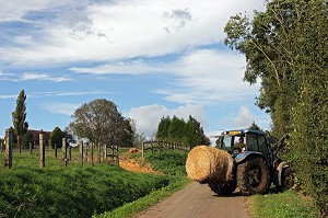 TRACTEUR AVEC BALLE DE FOIN SUR ROUTE DE CAMPAGNE, ORNE (61), BASSE-NORMANDIE, FRANCE