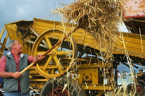 FETE DE LA MOISSON, BATTAGE A L'ANCIENNE, VILLE DE MAHERU, ORNE (61), NORMANDIE, FRANCE