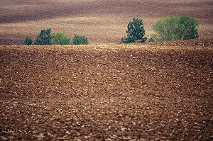 CHAMP LABOURE, PERCHE, EURE-ET-LOIR (28), FRANCE 