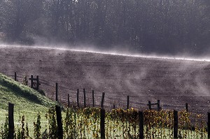 CLOTURE ET CHAMPS LABOURE AU PETIT MATIN, LIMOUSIN, FRANCE 