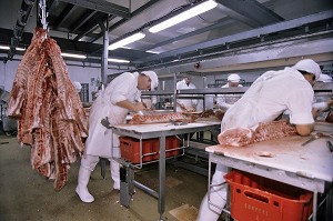 PREPARATION ET DECOUPE DES COCHONS DANS UN ABATTOIR, BRETAGNE, FRANCE 