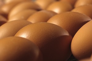 LES OEUFS PRET A LA CONSOMMATION, BRETAGNE, FRANCE  