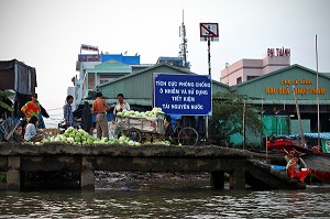 ILLUSTRATION VIETNAM 