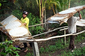 ILLUSTRATION VIETNAM 