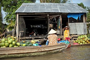 ILLUSTRATION VIETNAM 