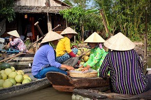 ILLUSTRATION VIETNAM 