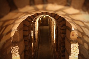 CATACOMBES DE PARIS 