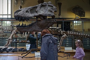 GALERIE DE PALEONTOLOGIE ET D'ANATOMIE COMPAREE 