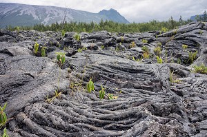 L'ILE DE LA REUNION, DOM-TOM, FRANCE 
