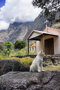 L'ILE DE LA REUNION, DOM-TOM, FRANCE 