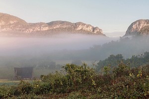 BRUMES MATINALES SUR LA VALLEE DE VINALES AU LEVER DU SOLEIL, PROVINCE DE PINAR DEL RIO, CUBA 