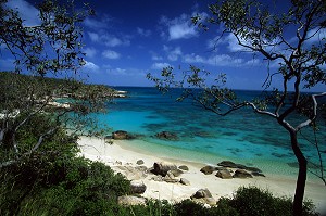 PLAGE DE L'HOTEL P&O, ILE DE LIZARD ISLAND, GRANDE BARRIERE DE CORAIL, GREAT BARRIER REEF, QUEENSLAND, AUSTRALIE 