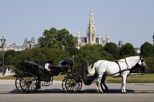 CALECHE A HELDENPLATZ ET RATHAUS EN ARRIERE PLAN, VIENNE, AUTRICHE 