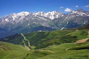 VUE GENERALE D'ALPAGE AVEC LA CHAINE DU MONT BLANC EN ARRIERE PLAN, BEAUFORTAIN, SAVOIE (73) 
