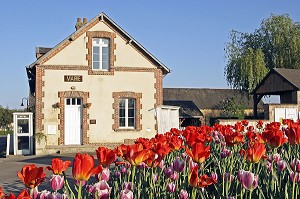 MAIRIE DE NEILLY LE BISSON AVEC MASSIF FLORAL DE TULIPES, CABINE TELEPHONIQUE, ORNE (61), BASSE-NORMANDIE, FRANCE 