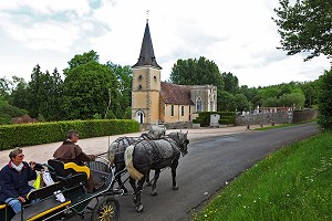 ATTELAGE PERCHERONS, ORNE, PERCHE, NORMANDIE, FRANCE