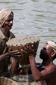 KERALA, INDE DU SUD, ASIE 