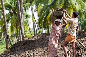 KERALA, INDE DU SUD, ASIE 